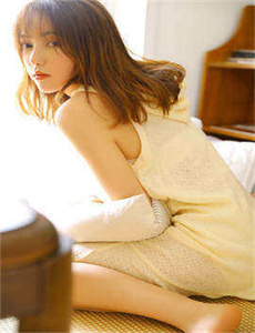 女贼金丝猫